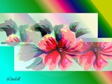 by linda lindall