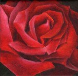 by Debbie Shirley