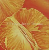 by Tracey Jayne Thomas