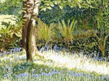 by Edward McNaught-Davis