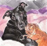 by Drusilla Kehl