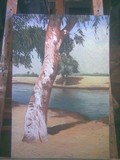 by Naeem Mughal