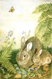 by patricia pushaw