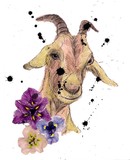 by Jo West
