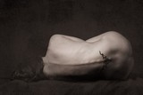by Luc Ten Klooster
