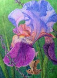 by Gwenlyn Norton