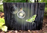 by Lorrie Bridges