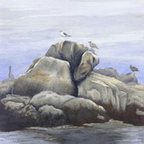 by Michael Caruso