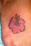 by Chris Aleman