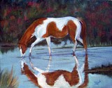 by Sharon Coyle