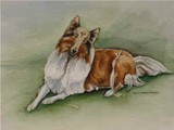 by Diane Wall