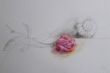 by Maria Koranyi