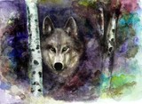 by Tom McAlister