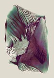 by Taller Fractal