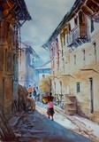by subin shakya