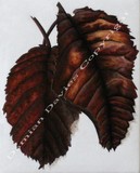by Damian Davies