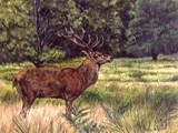 by Trudy Barlow