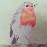 by Stella Colhoun
