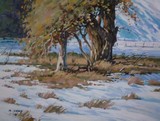 by m. salayi