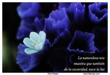 by Oscar Pinto