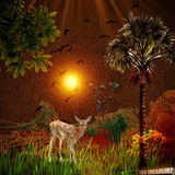 by Tala Ibrahimi