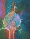 by Angella Reynolds-Screen