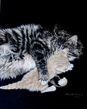 by Susan Marie Pieri