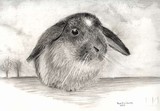 by Paula C. L. Santos