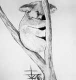 by Karina Hopkins
