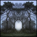 by Digital Crafts