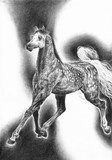 by Felanim Fire