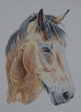 by Ruth Tyson