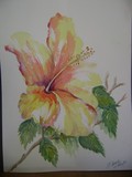 by Belinda Balaski