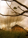 by Tammy Kuenzli