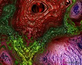 by Carl Huffman