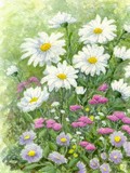 by Maureen Darby