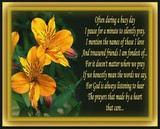 by Patty Day