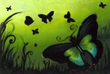 by Elaina Wagner