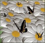 by Lisa Weber