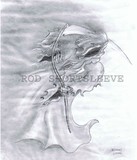 by rodney shortsleeve