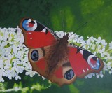 by ria van meijeren