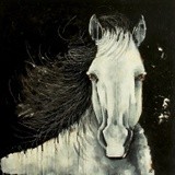 by Lucia Stewart