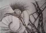 by dilek degerli