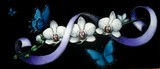 by Janna Ali
