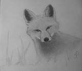 by Maria Paola Di Santo