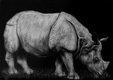 by Heather Ward