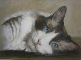 by Kathryn Lewis