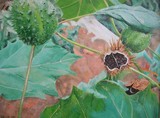 by Kathy Kelly
