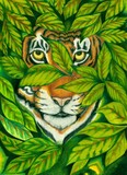 by Cathy Howell