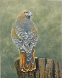 by Melinda Miknuk